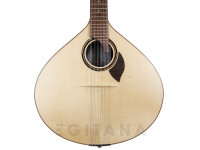 APC GF312LS frente APC GF312LS frente